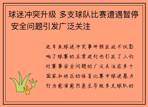 球迷冲突升级 多支球队比赛遭遇暂停 安全问题引发广泛关注